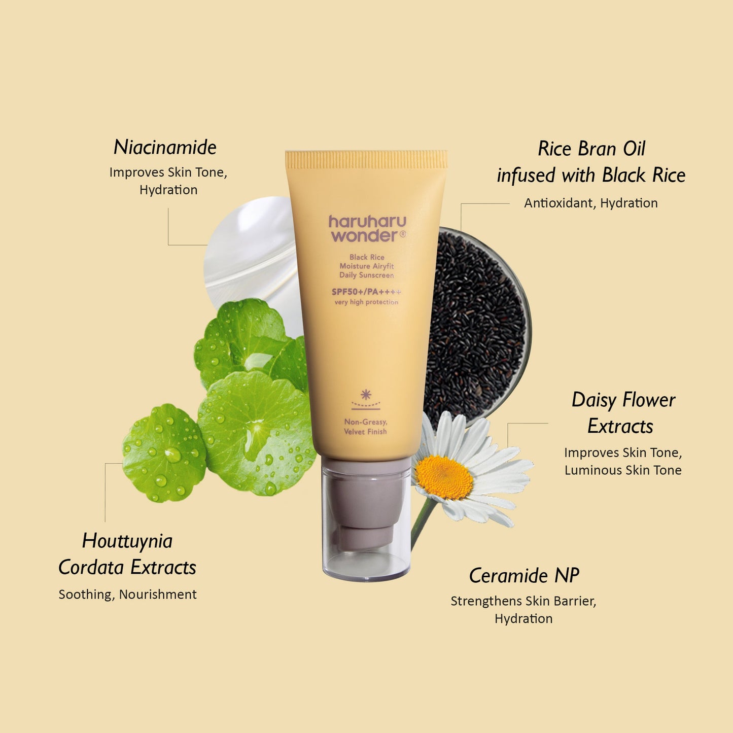 Black Rice Moisture Airyfit Sunscreen - Haru Haru Wonder