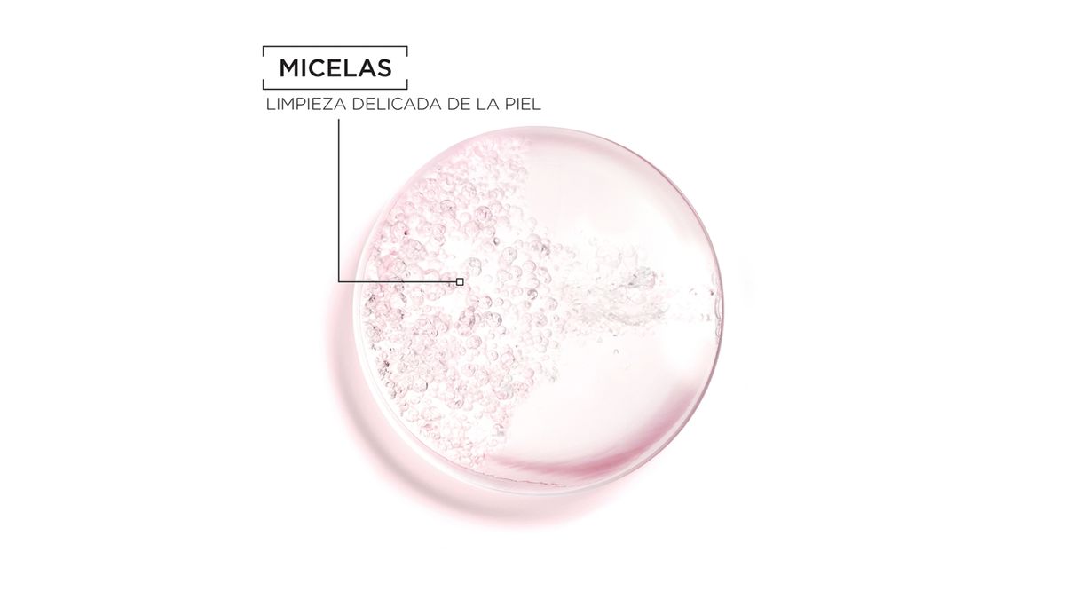 Garnier - Agua Micelar Garnier Todo En 1 - 400 ml